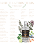 Labyrinth Gin
